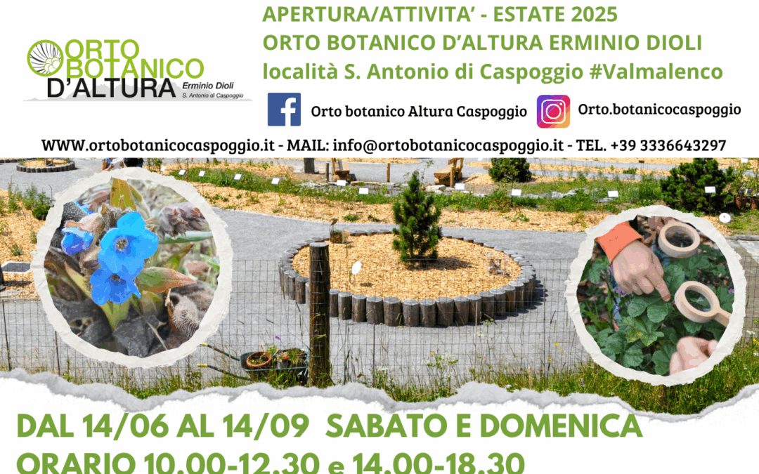 Programma delle attivita’ in orto – estate 2025
